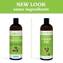 Castor Oil USDA Organic Cold-Pressed (16oz) 100% Pure Hexane-Free Castor Oil - Conditioning & Healing, For Dry Skin, Hair Growth - For Skin, Hair Care, Eyelashes - Caster Oil By Sky Organics
