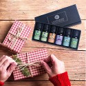 Lagunamoon Essential Oils Top 6 Gift Set Pure Essential Oils for Diffuser, Humidifier, Massage, Aromatherapy, Skin & Hair Care